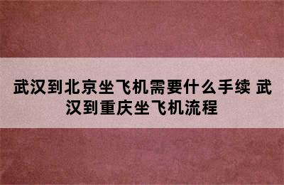 武汉到北京坐飞机需要什么手续 武汉到重庆坐飞机流程